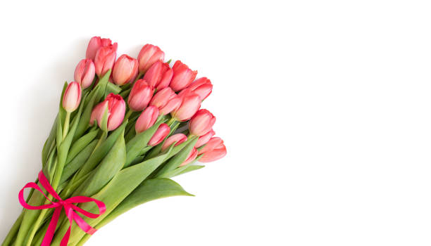Pink tulip bouquet tied with ribbon for a sweet new baby gift