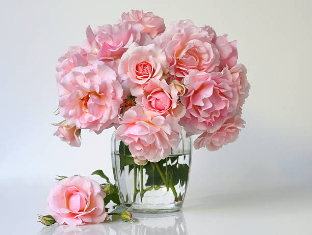 Soft pink rose arrangement in a clear glass vase