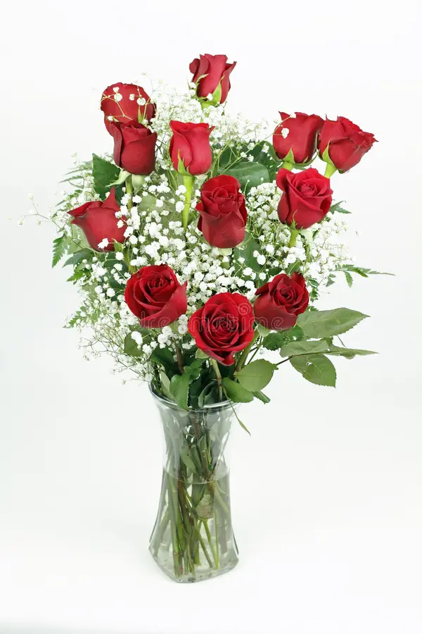 One dozen red roses with baby's breath in a tall clear vase